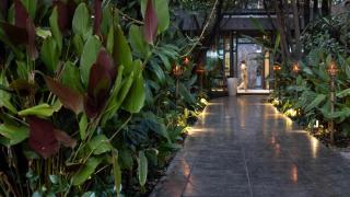 Anjali by Syphon - Siem Reap - 8