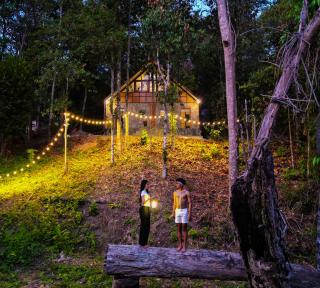 Oasis forest garden - Ban Takuk Nua - 4
