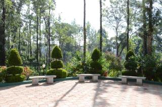 Ibbanicadu Estate Homestay - Madikeri - 9