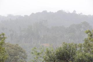 Ibbanicadu Estate Homestay - Madikeri - 2