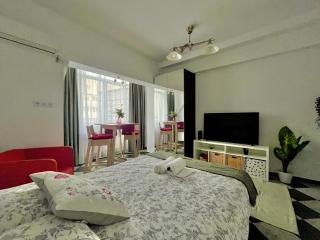Victoriei spacious studio - Bucharest - 6