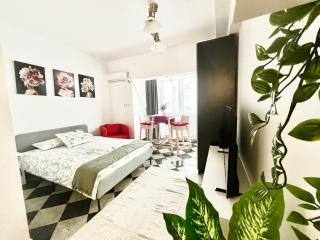 Victoriei spacious studio - Bucharest - 5