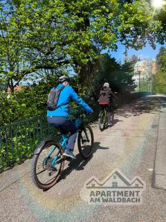 Apartment am Waldbach - 8