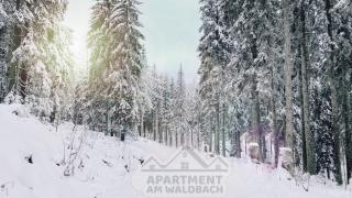 Apartment am Waldbach - 5
