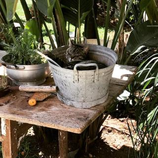 Appartamento esclusivo con giardino - Neviano - 1