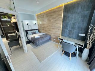 Cozy Lux Apartment in the Center - Chişinău - 9