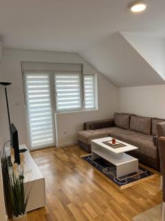 Milka apartman Sokobanja - Soko Banja - 6