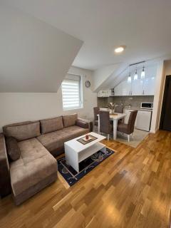 Milka apartman Sokobanja - Soko Banja - 7
