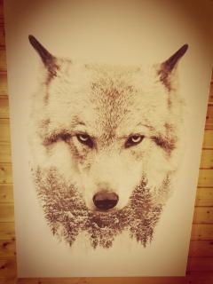 The dream catcher -Spa- panoramic sauna- 2 MINUTES FROM THE SLOPES - 1