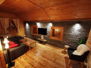 The dream catcher -Spa- panoramic sauna- 2 MINUTES FROM THE SLOPES - La Bresse - 4