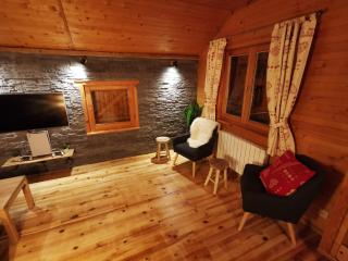 The dream catcher -Spa- panoramic sauna- 2 MINUTES FROM THE SLOPES - La Bresse - 3