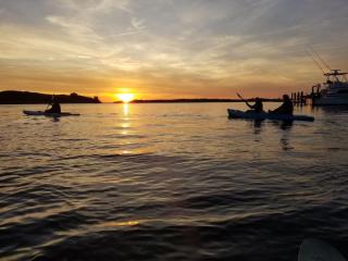 Waterfront home with Private Dock and swimming area, large fenced backyard - Cedar Point - 0