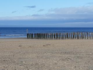 Studio Calais Plage - Front de mer - 3