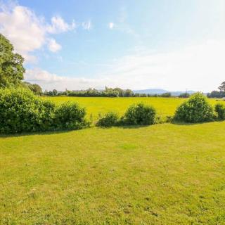 Shannonvale Cottage - 4