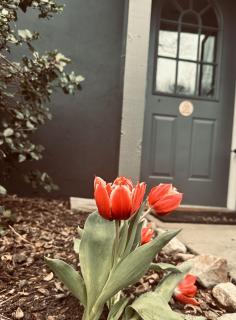 Cozy, Renovated 1Bed Suite, Full Kitchen, 5 min to Westport - Weston - 6