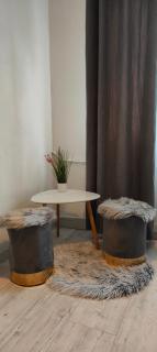 Residence Angelina - Arad - 3