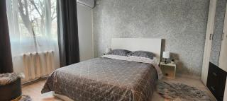 Residence Angelina - Arad - 6