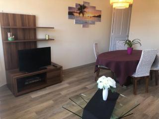 Appartement Laurier Blanc - Le Cannet - 9