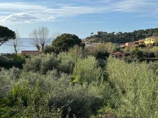 Casa Vanna - Marciana - 3