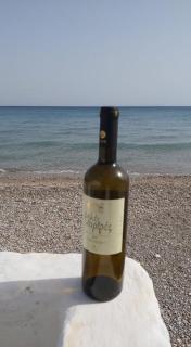 Alkisti's seaside apartments - 8