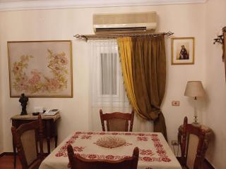 Premium apartment in Cairo centrally located - Il Cairo - 1