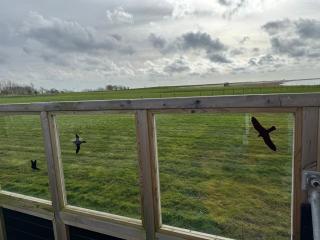 Prachtig chalet de ZEE STER - Westerland - 3