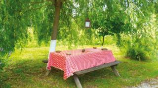 Bungalow charmant près de Sédeilhac avec jardin et terrasse - Franquevielle - 8