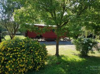Bungalow charmant près de Sédeilhac avec jardin et terrasse - Franquevielle - 1