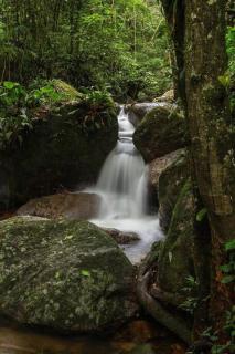 Bangalô Charme - Mata Atlântica - Ilhabela - 1