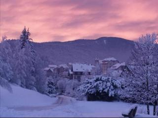 studio chaleureux à Villard de lans - Villard-de-Lans - 7