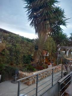 Appartement Vue Notre Dame + extérieur verdoyant - Marseille - 8