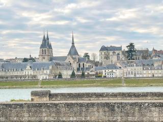 Loft de La Maison des Chalands - Blois - 2