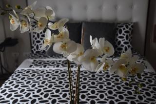 Spotless Cozy Studio Unit @ 150 Newport across NAIA T3 - Manila - 0