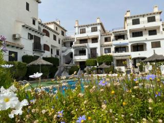 Lobo en Cabo Apartment, Cabo Roig , Orihuela Costa - Cabo Roig - 4