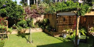Tranquil Garden Studio - 1