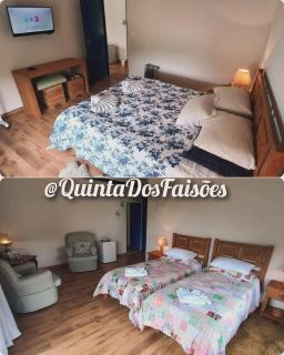 Quinta dos Faisões - 9
