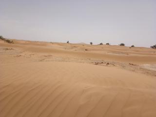 M'Hamid Budget Lodge - Mhamid - 1