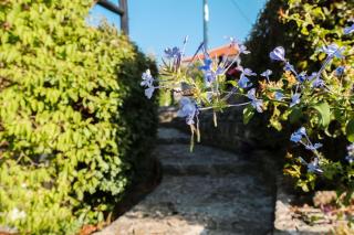 Apartments by the sea Postira, Brac - 22204 - Postira - 2