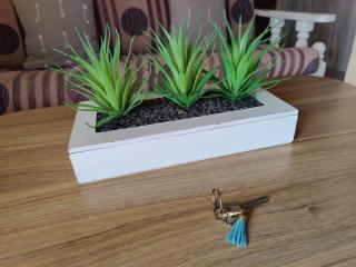 F2 familial - Vue imprenable sur la baie du Marin - 1