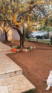 Apartments with a parking space Porec - 22715 - Poreč - 8