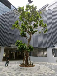 Cozy Sky Trees 4 Guests, Balcony, Netflix and Big TV A08 - Johor Bahru - 1