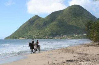 Tropi Kay' Location - Bungalow avec jacuzzi - Le Diamant - 9