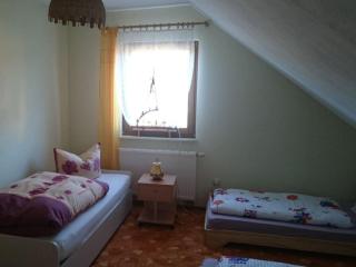 Däumler "House Am Weißwald" - Breitenbrunn - 4