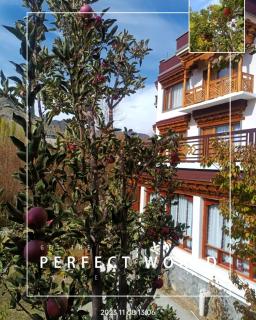 The Kart-Sey Ladakh - Leh - 1