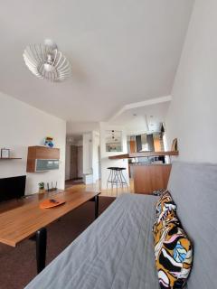 Giedres Taikos Apartments - Kaunas - 0