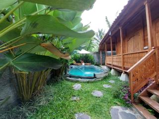 D'ethnic Private villa ubud - Ubud - 5