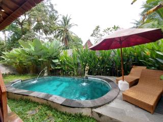 D'ethnic Private villa ubud - Ubud - 0