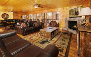 Wild Bear Lodge - Sevierville - 2