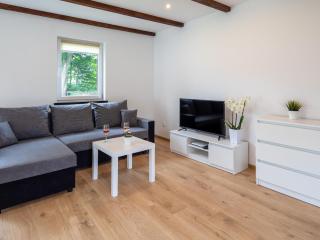 Comfortable holiday homes for 5 people - Lędzin - 1