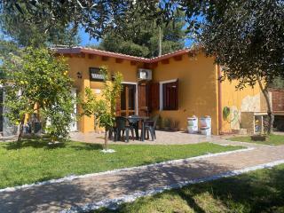 Casa vacanze Shardana - Iglesias - 9